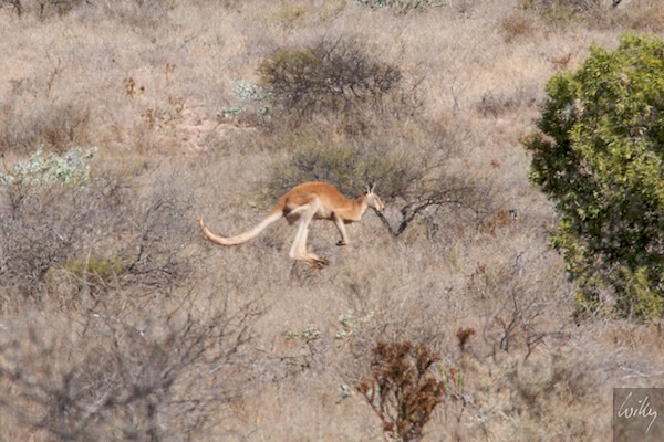 AustraliaPerth 10  124